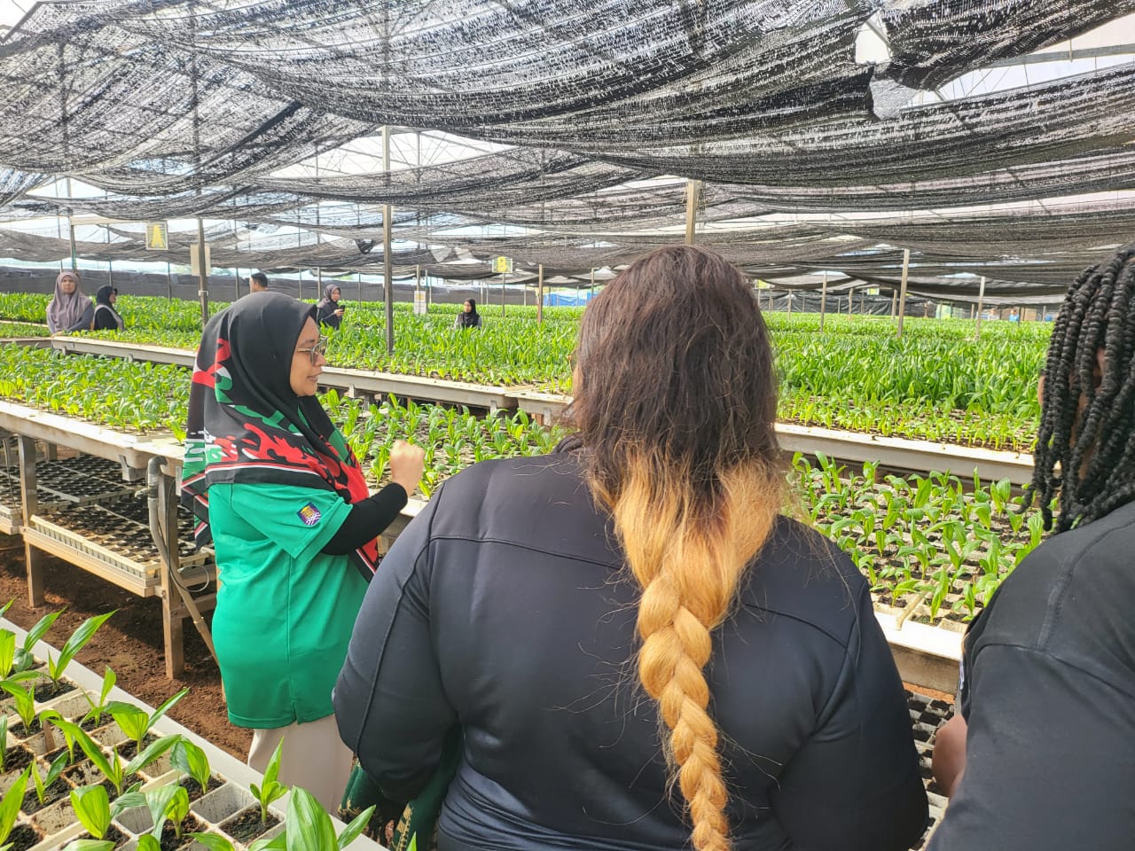 Tour of Oil Plantation